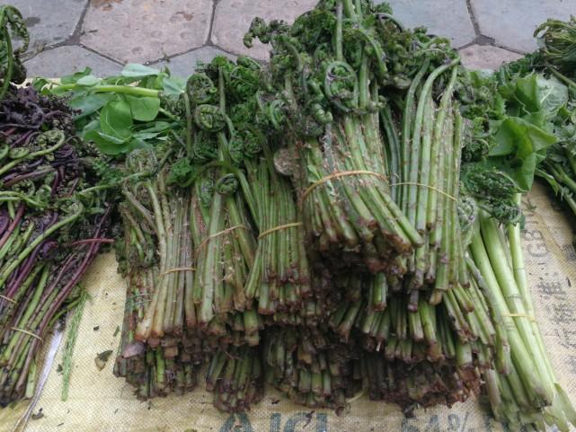 吉林印象,绿意盎然,美食之旅🏔️🍃🍲