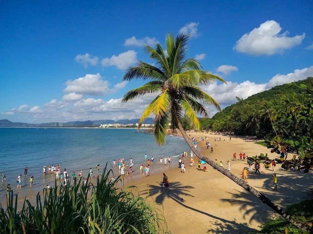 海南岛之旅，说走就走的邂逅，尽享海岛风情🌴✨