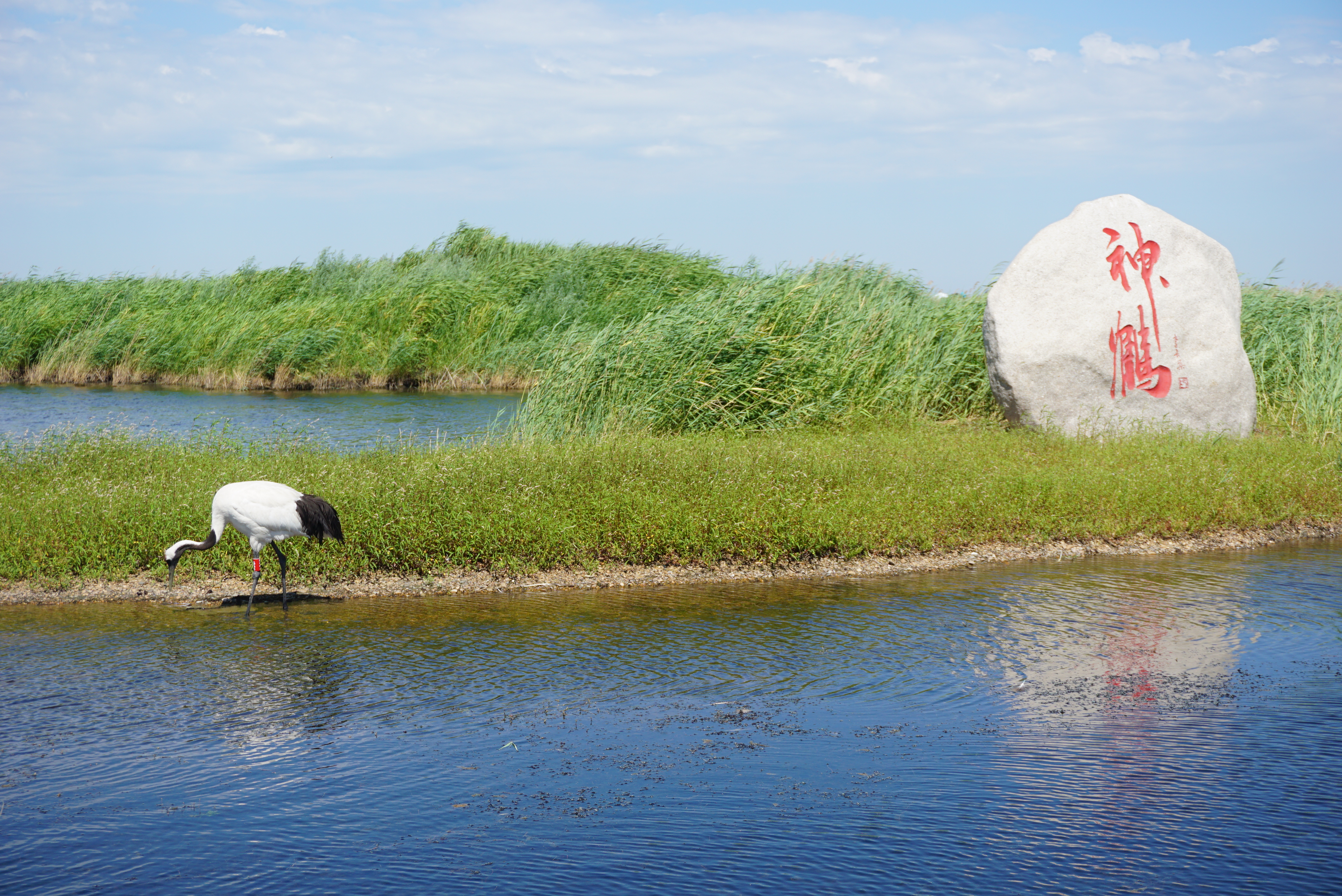 运城,历史与现代交织的繁华都市