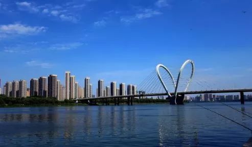 沈阳，友情、家庭与爱的温馨日常故事